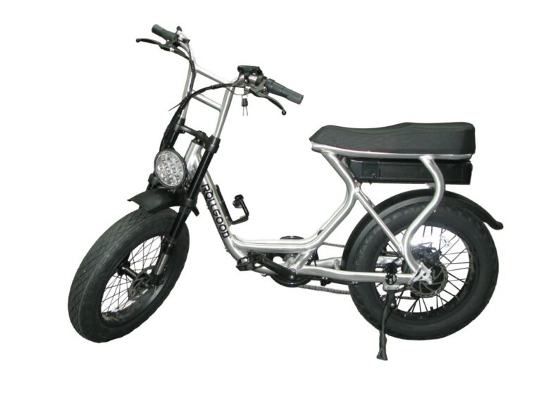 rollgood electric bikes