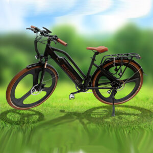 rollgood electric bikes